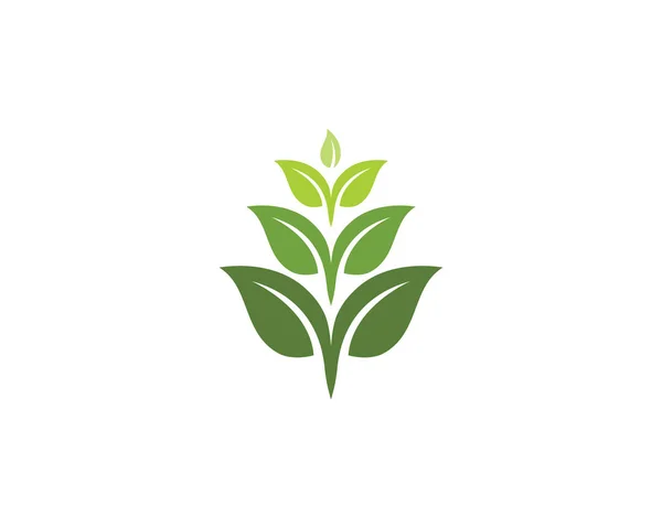 Logos ekologii zielonych liści drzew — Wektor stockowy