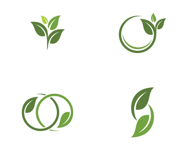 Λογότυπα της οικολογίας των πράσινων φύλλων δέντρων — Διανυσματικό Αρχείο