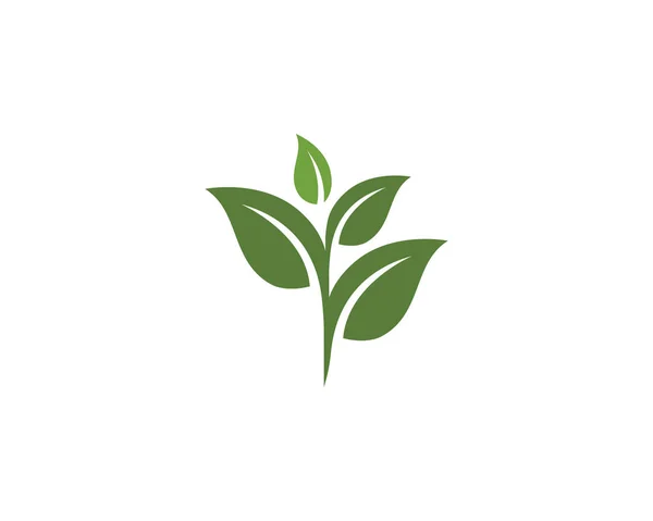 Logo 's van groene boombladecologie — Stockvector