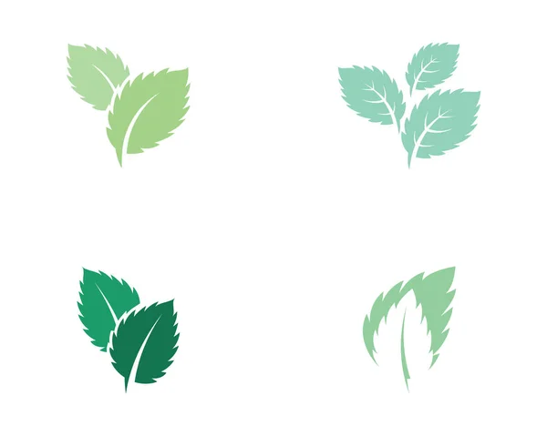 Εικονίδιο του φορέα επίπεδη φύλλα μέντας — Διανυσματικό Αρχείο
