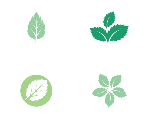 Menta deja icono de vector plano — Vector de stock