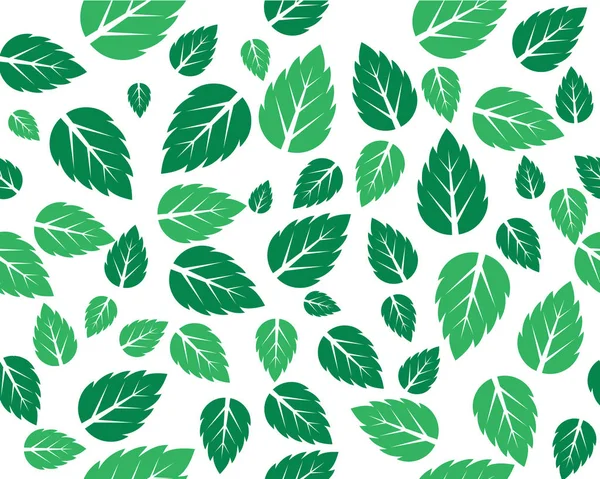 Minze frische Blätter Vektor-Vorlage — Stockvektor