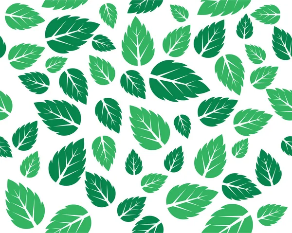 Menta hojas frescas Vector plantilla — Vector de stock