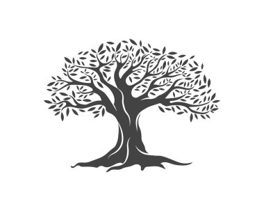Zeytin ağacı vektör çizim