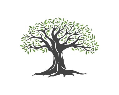 Zeytin ağacı vektör çizim