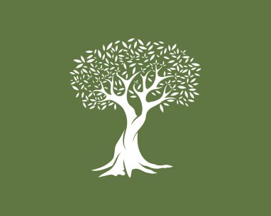 Zeytin ağacı vektör çizim