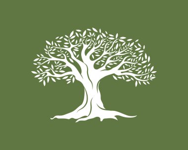 Zeytin ağacı vektör çizim