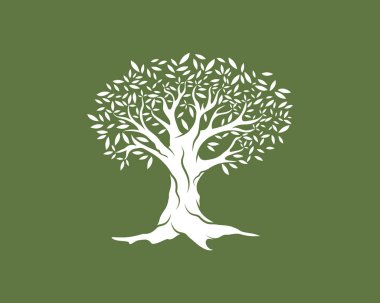 Zeytin ağacı vektör çizim