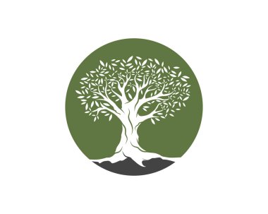 Zeytin ağacı vektör çizim