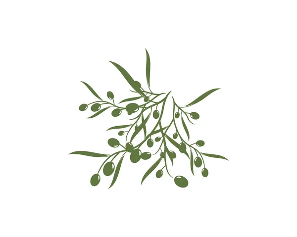 Ícone de oliva ilustração vetorial — Vetor de Stock