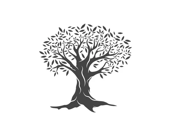 橄榄色树矢量图 — 图库矢量图片