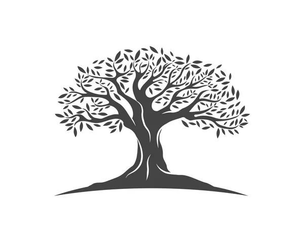 Εικονογράφηση φορέας δέντρο ελιάς — Διανυσματικό Αρχείο