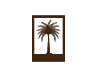 Tarih ağaç simge vektör çizim logo şablonu