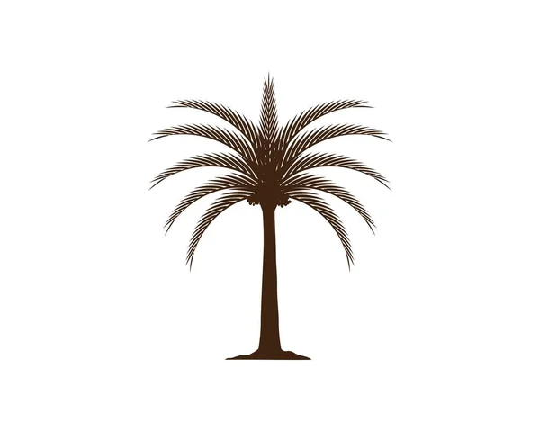 Значок Дати Дерева Векторні Ілюстрації Шаблон Логотипу — стоковий вектор