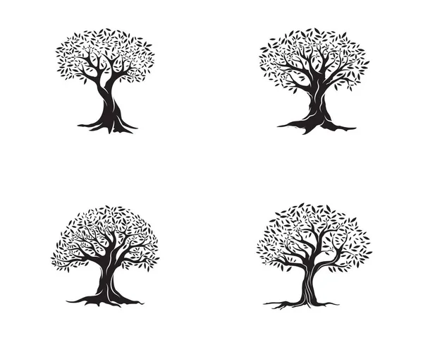 Olive tree vektoros illusztráció — Stock Vector