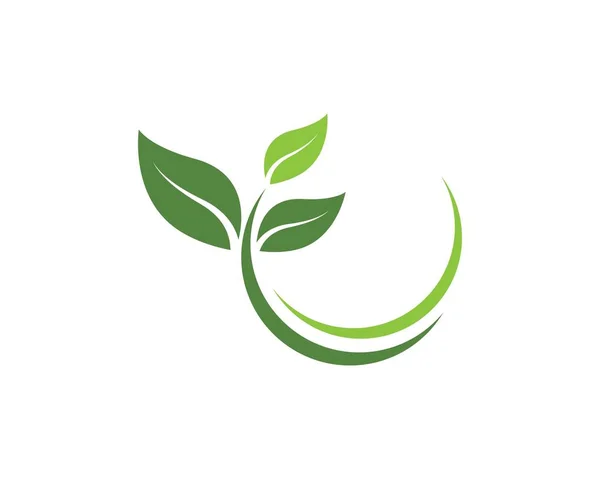 Zöld levél ökológia természet vektor ikon — Stock Vector