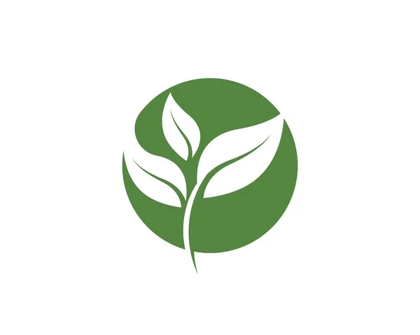Groene blad ecologie natuur vector pictogram — Stockvector