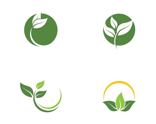 Verde frunze ecologie natura vector icon — Vector de stoc