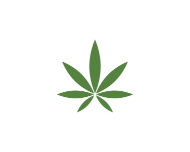 Canabis yaprak vektör illüstrasyon