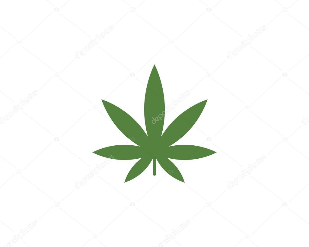 Canabis leaf vector illustration icon design