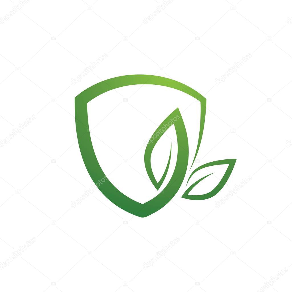 Eco shield vector illustration design template