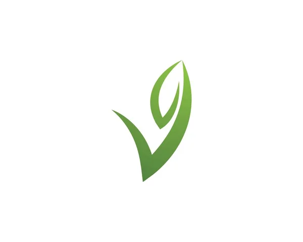 Λογότυπα της οικολογίας των πράσινων φύλλων δέντρων — Διανυσματικό Αρχείο