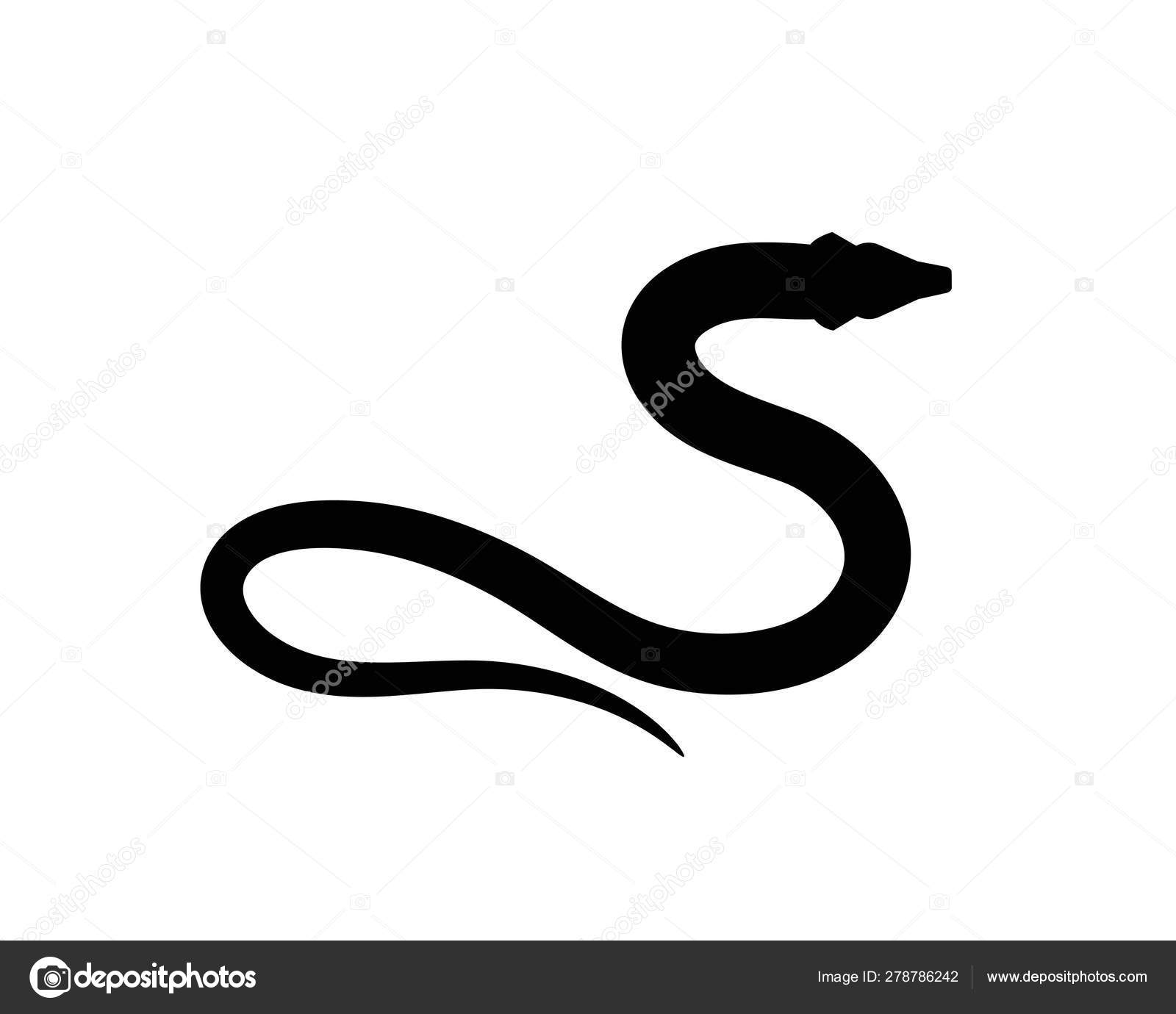 Fondo Del Reptilストックベクター ロイヤリティフリーfondo Del Reptilイラスト ページ 100 Depositphotos