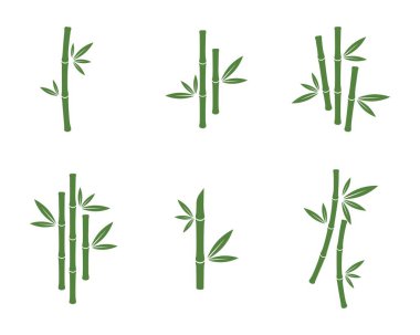 Bambu vektör simge illüstrasyon