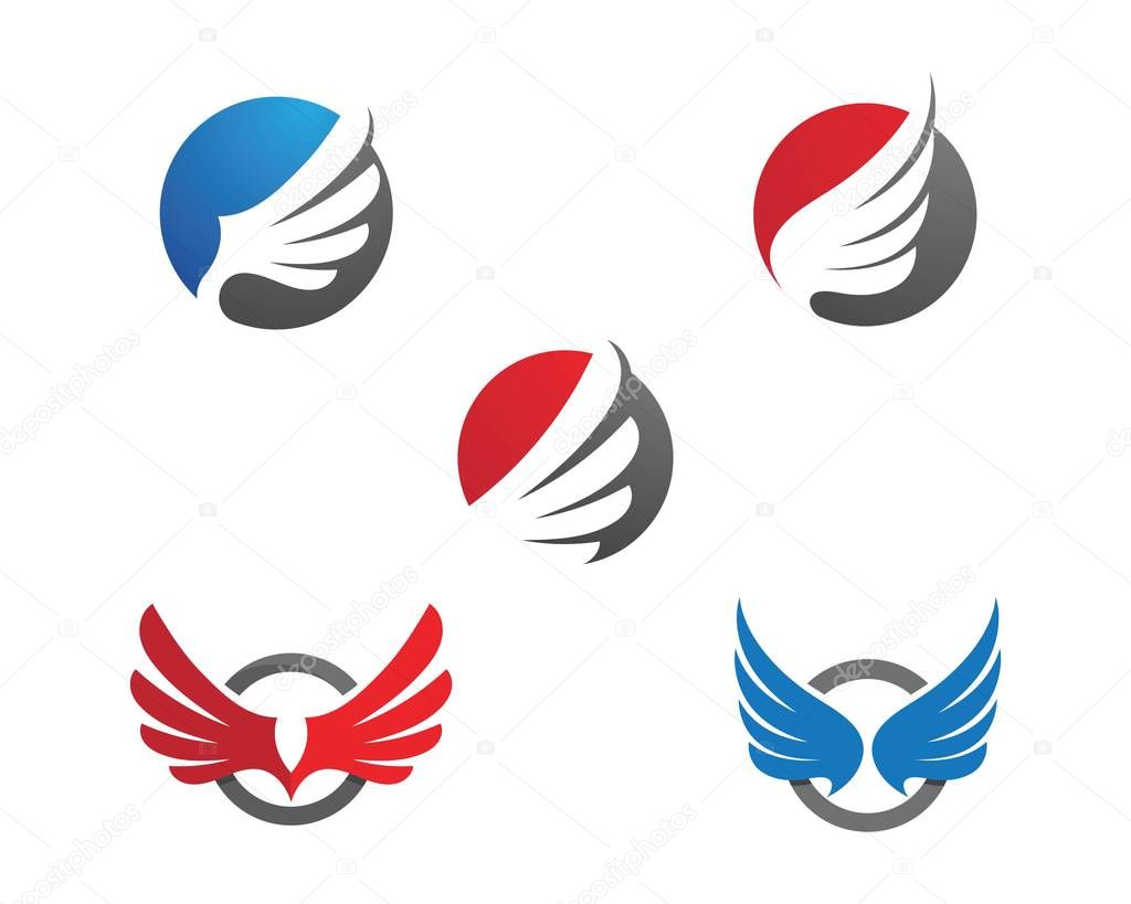 Falcon wing  Logo Template vector illustration design