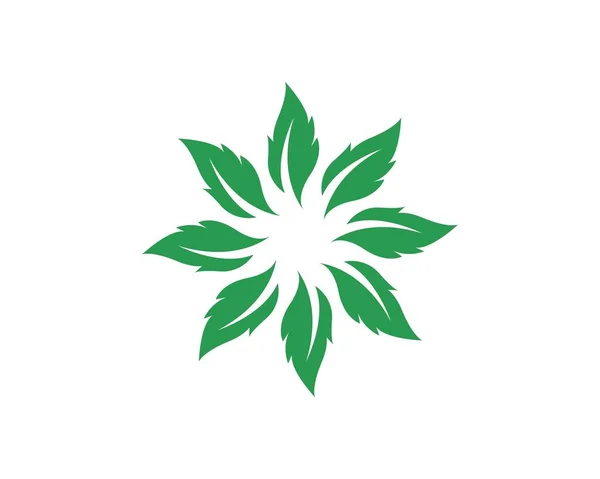 Logos de ecologia de folha de árvore verde — Vetor de Stock