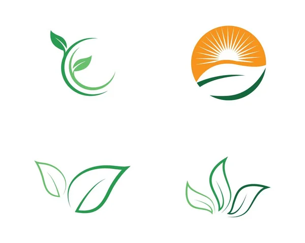 Green leaf ecology nature vector icon — Stock Vector