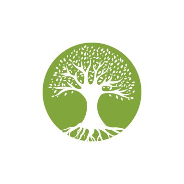 Zeytin ağacı vektör çizim