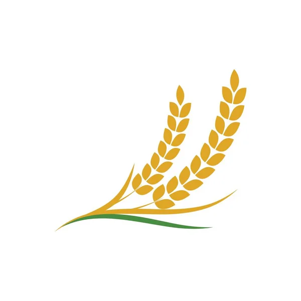 Vettore del grano agricolo — Vettoriale Stock