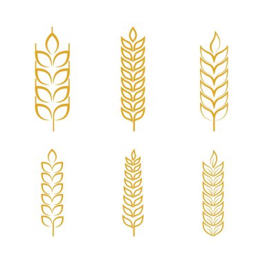 Tarım buğday vektör