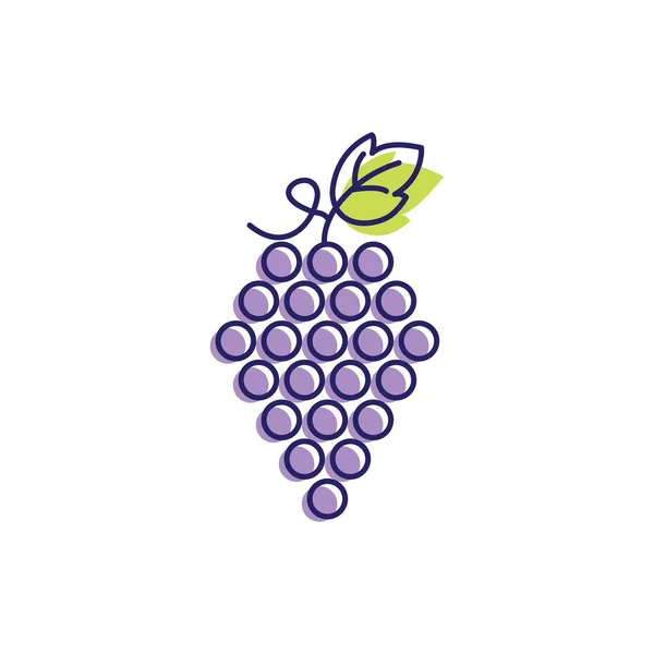 Grapes vector icon illustration design — Stock Vector