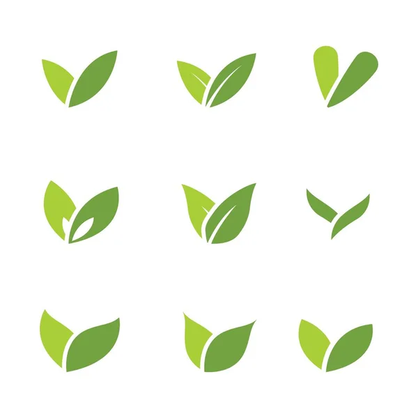 A zöld leveles ökológia logói — Stock Vector