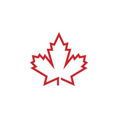 Akçaağaç yaprağı vektör çizim