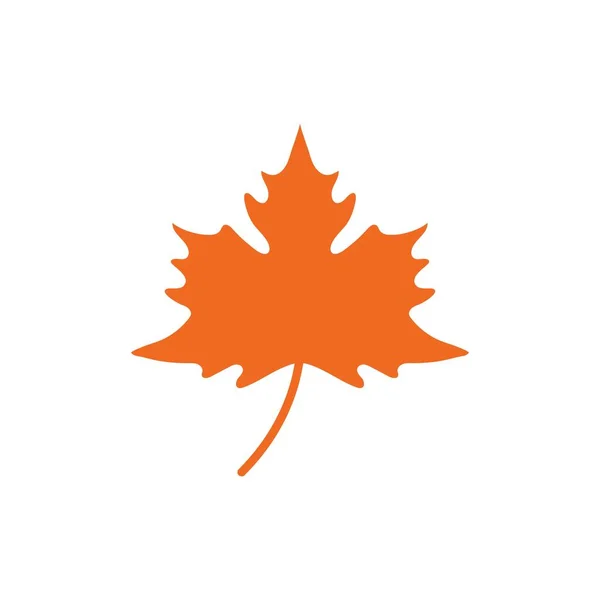 Maple leaf vektor illustration — Stock vektor