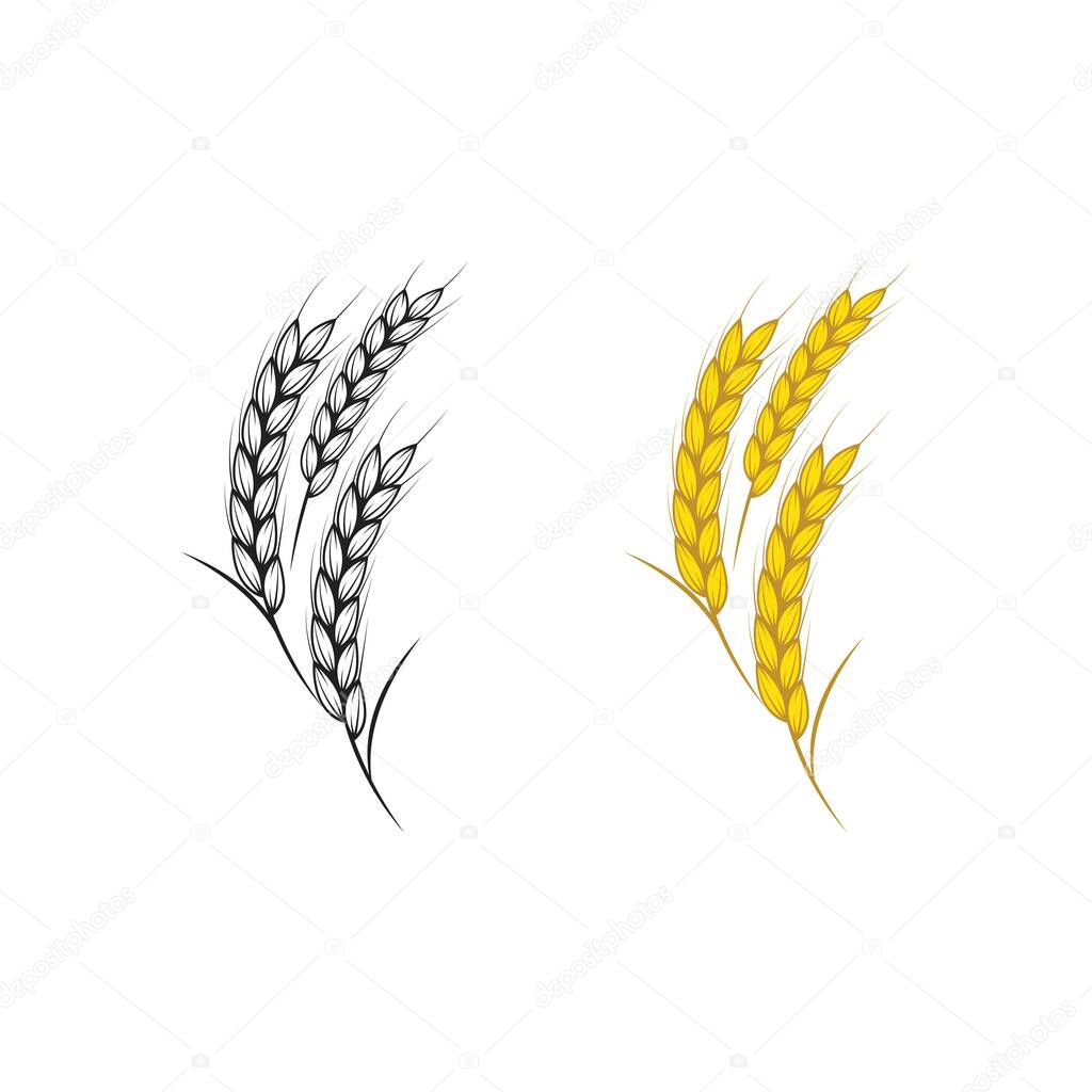 Agriculture rice vector icon illustration design