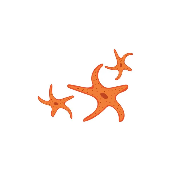 Зоряне Море Векторні Ілюстрації Шаблон Дизайну Ілюстрації — стоковий вектор