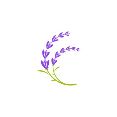 Lavanta çiçeği vektörü simge tasarım şablonu
