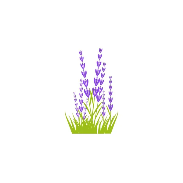 Lavanda Flor Ícone Vetor Ilustração Design Modelo —  Vetores de Stock