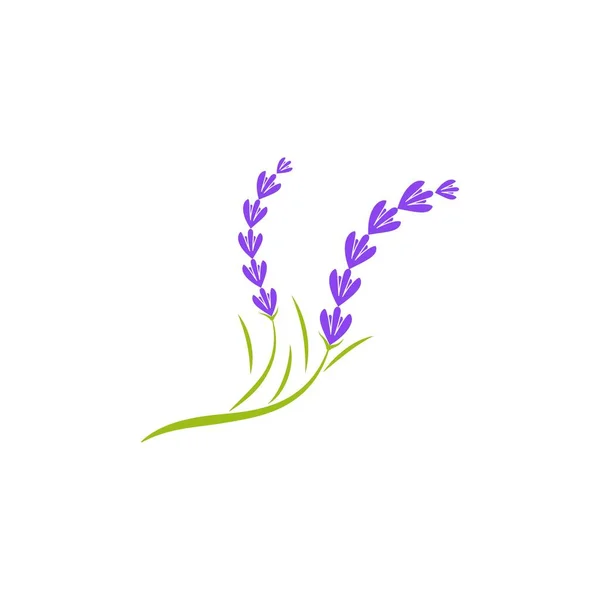 Lavanda Flor Ícone Vetor Ilustração Design Modelo —  Vetores de Stock