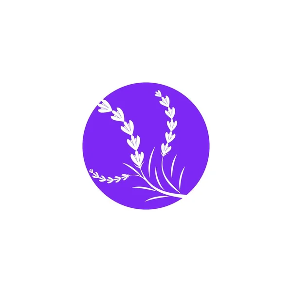 Levendula Virág Vektor Ikon Illusztráció Tervezés Sablon — Stock Vector
