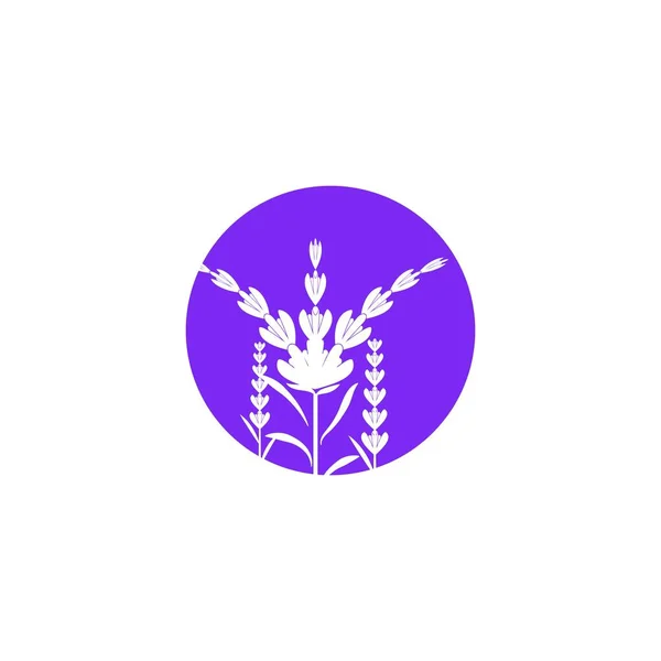 Lavanda Flor Ícone Vetor Ilustração Design Modelo — Vetor de Stock