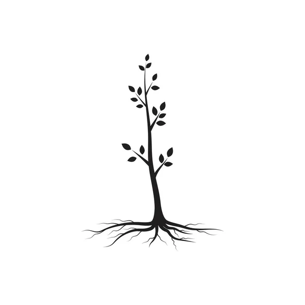 Árbol Rama Vector Ilustración Diseño Plantilla — Vector de stock