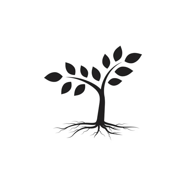 Árbol Rama Vector Ilustración Diseño Plantilla — Vector de stock