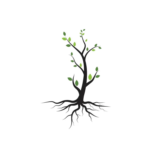 나뭇가지 부조화 템플릿 — 스톡 벡터