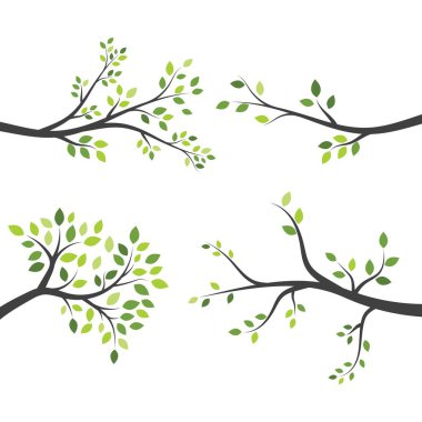 tree branch vector ilustration design template clipart
