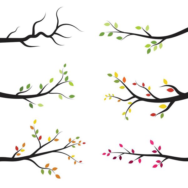 tree branch vector ilustration design template